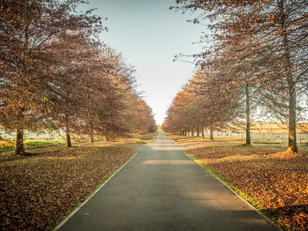 Fordoun Spa & Boutique Hotel