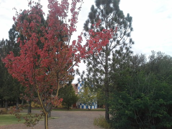 Lavender Hills Guest Farm