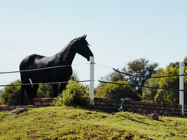 Madidaba Game Lodge Conference Venue