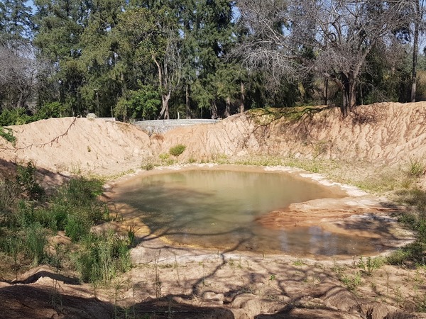 Protea Hotel by Marriott Hazyview