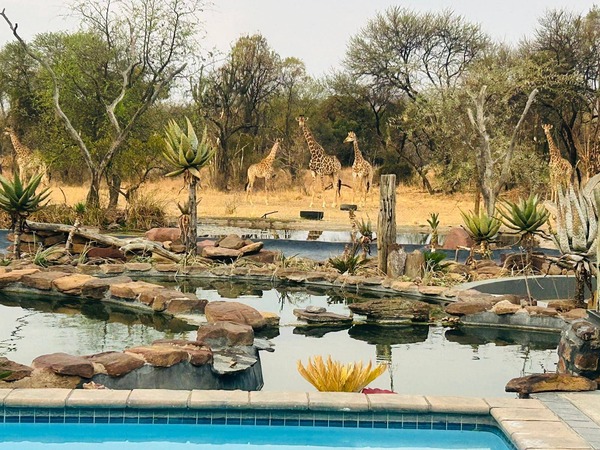 Sambane Game Lodge