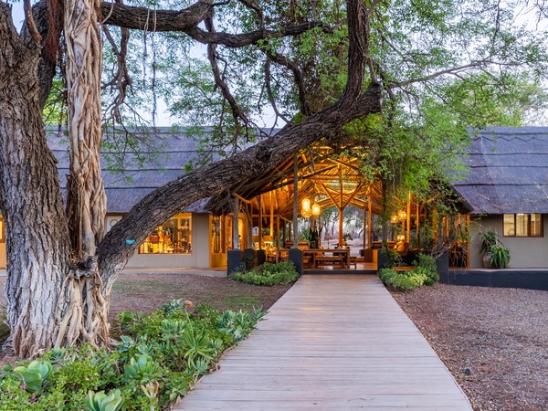Thornybush Game Lodge
