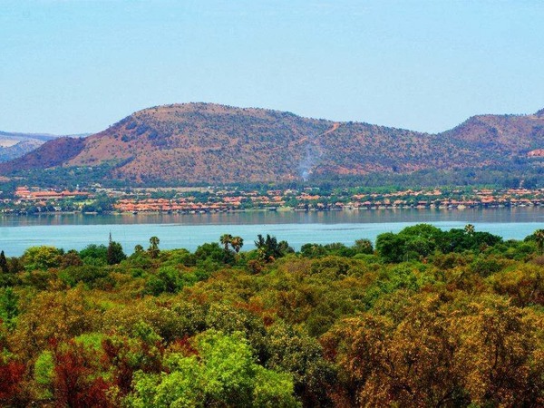 Three Oaks and an Aloe